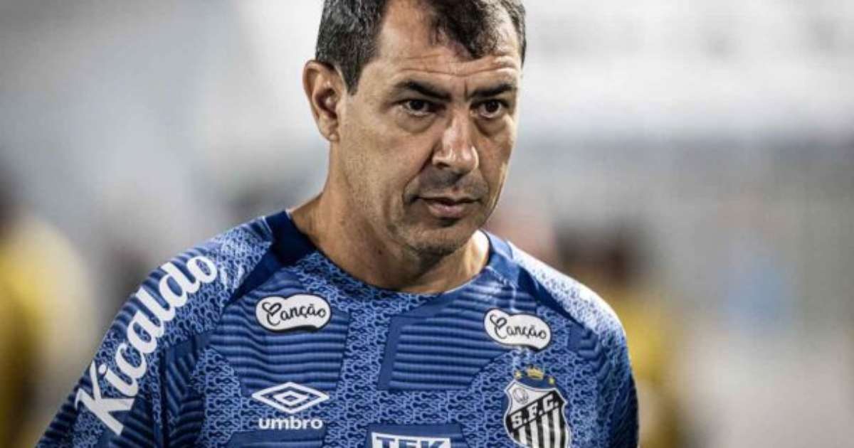 Fábio Carille elogia desempenho do Santos após vitória na Série B
