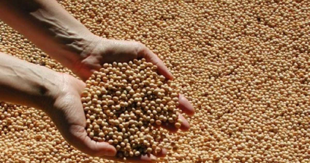 Preços dos grãos no Rio Grande do Sul não devem subir consideravelmente, diz economista