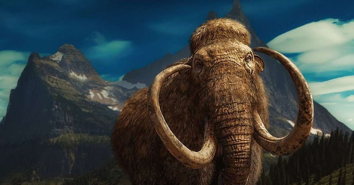 Os últimos mamutes da Terra não foram extintos por colapso genético
