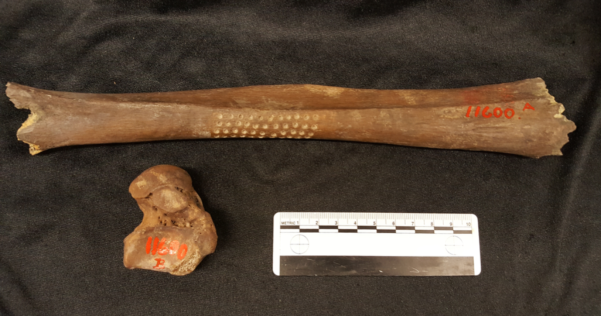 Descoberta revela detalhes sobre a morte de "múmia do pântano" de mais de 5.000 anos