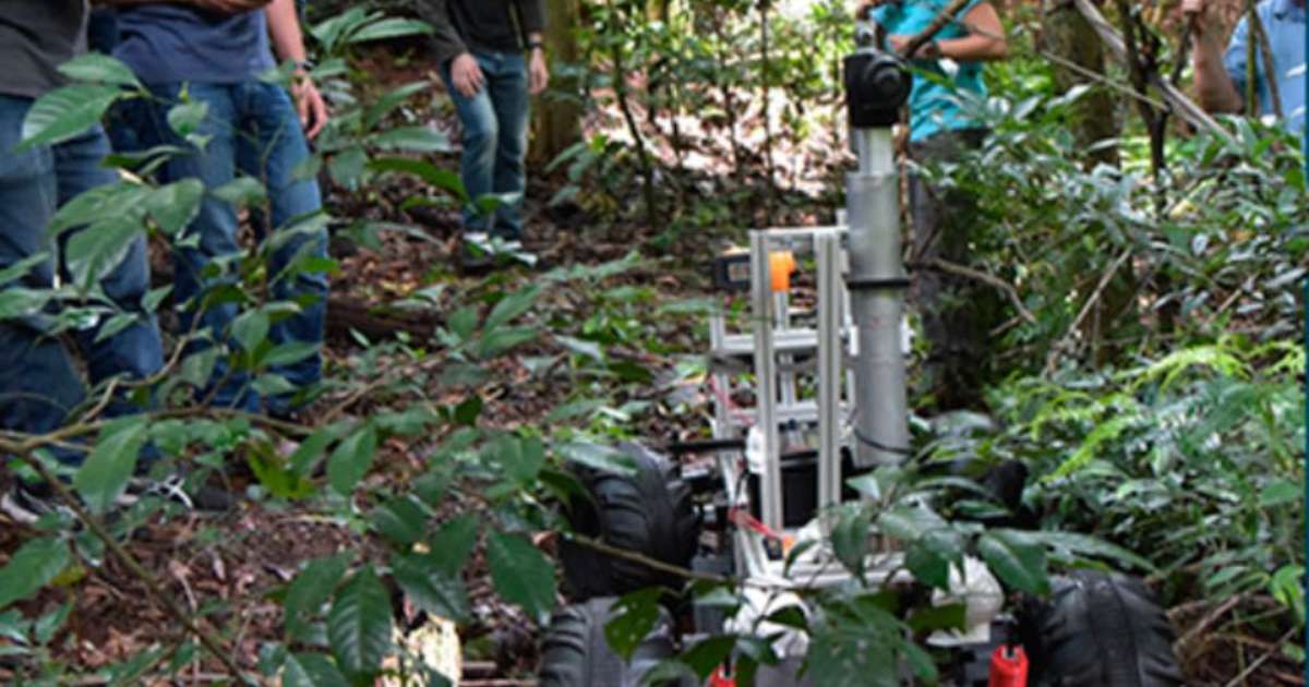 Equipe brasileira é finalista em competição internacional para mapear florestas tropicais